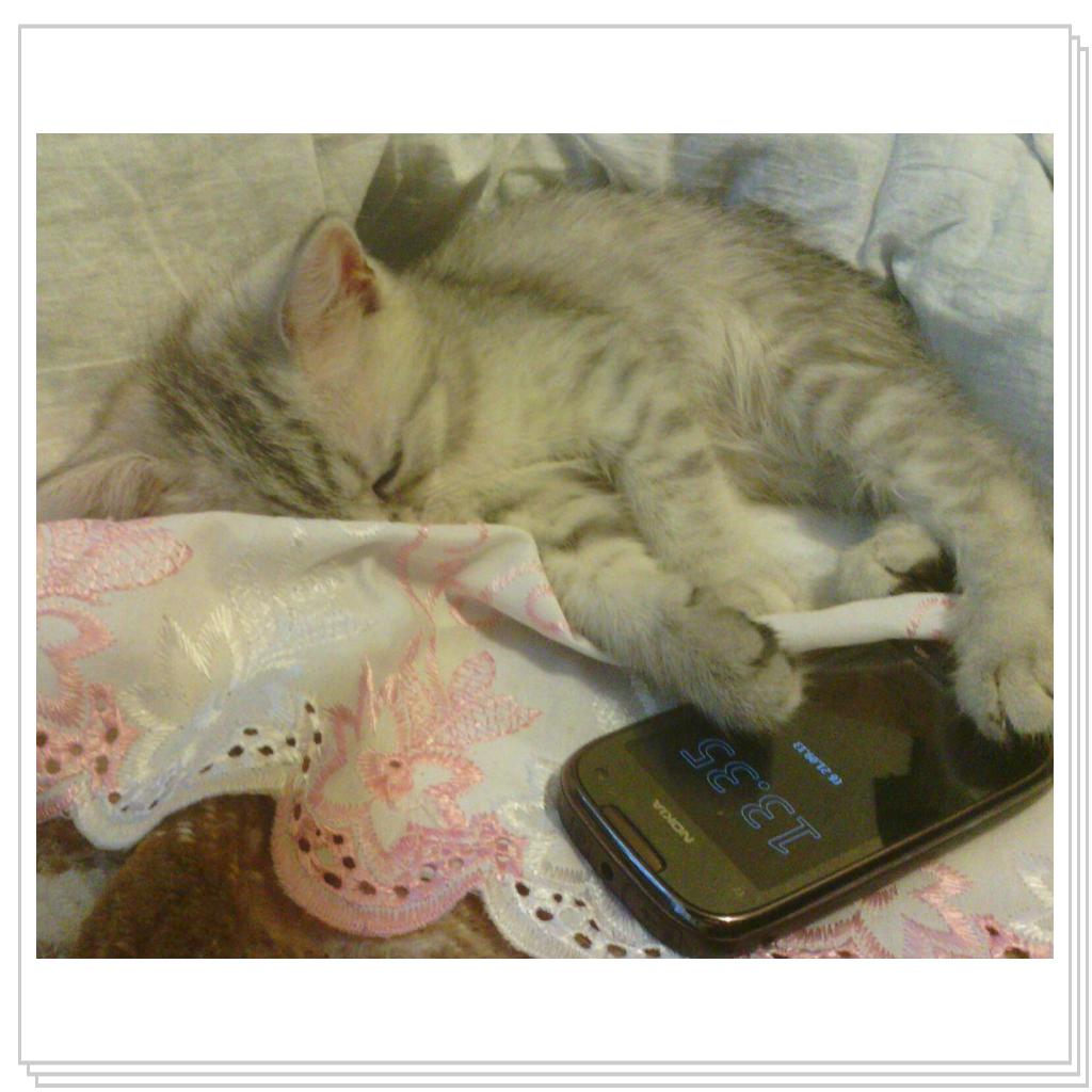 Снежана-малышка спит