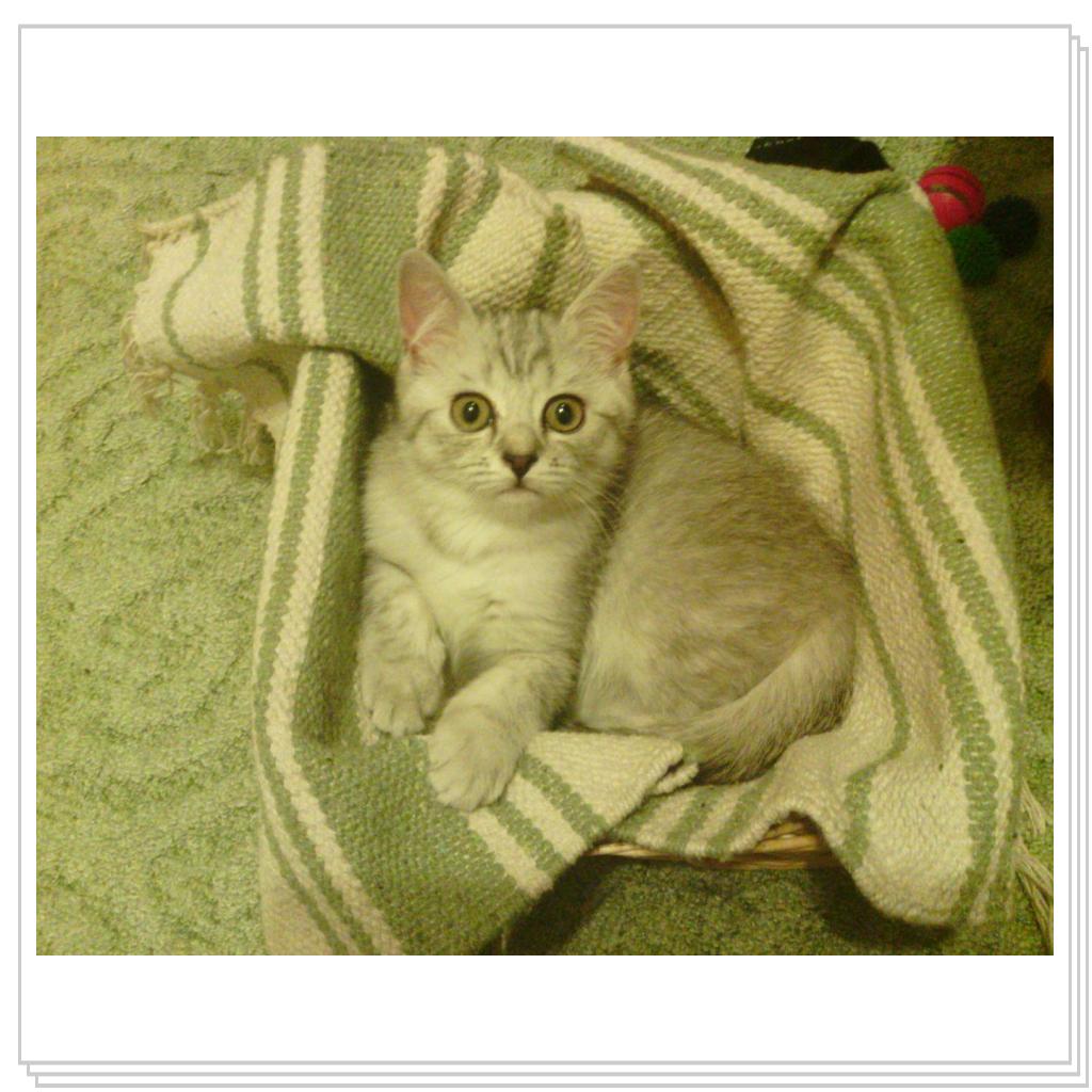 Снежана-малышка