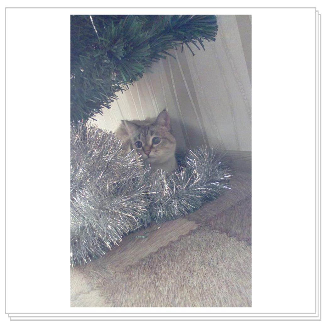 моя красавица Ласка