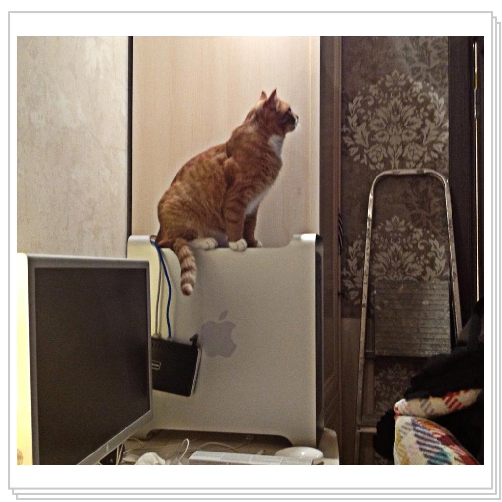 Рыжевский на системном блоке