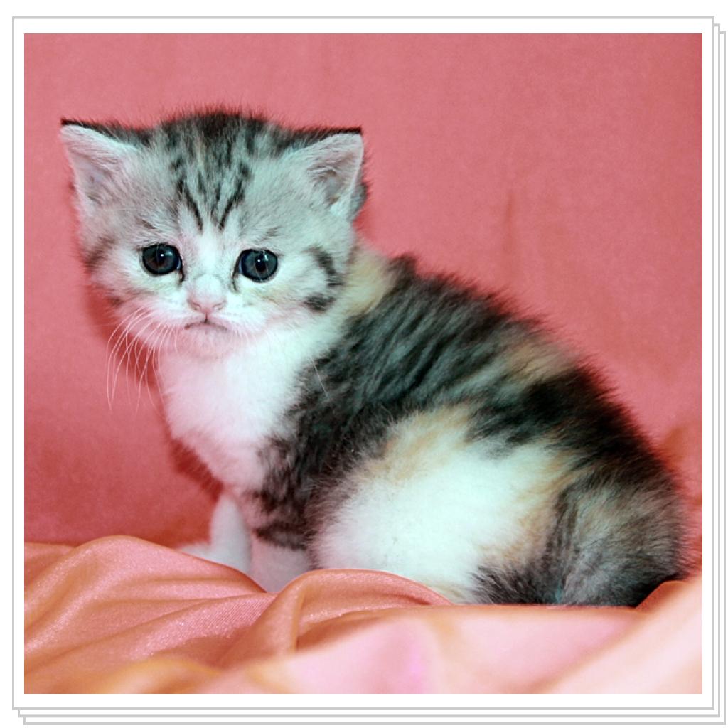 девочка-доча!