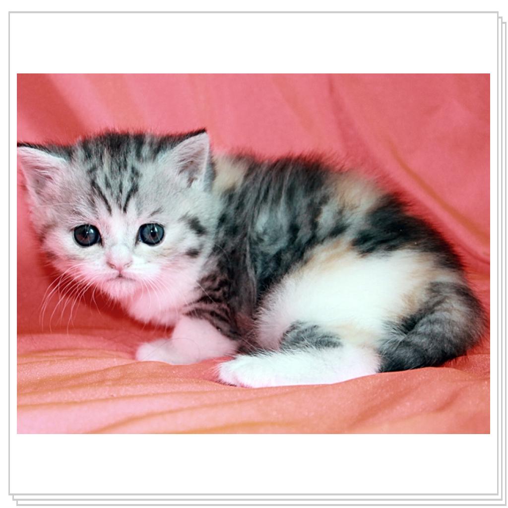 девочка-доча!