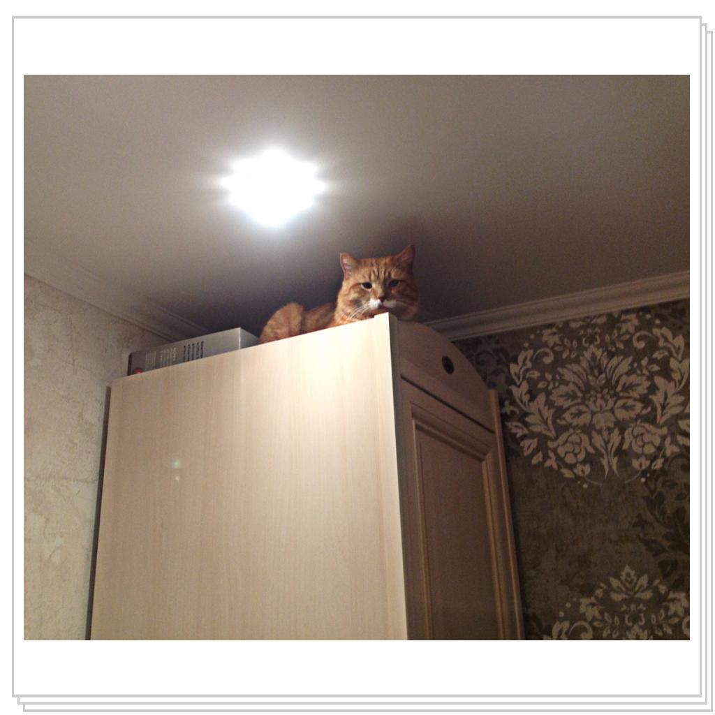 Любимое место