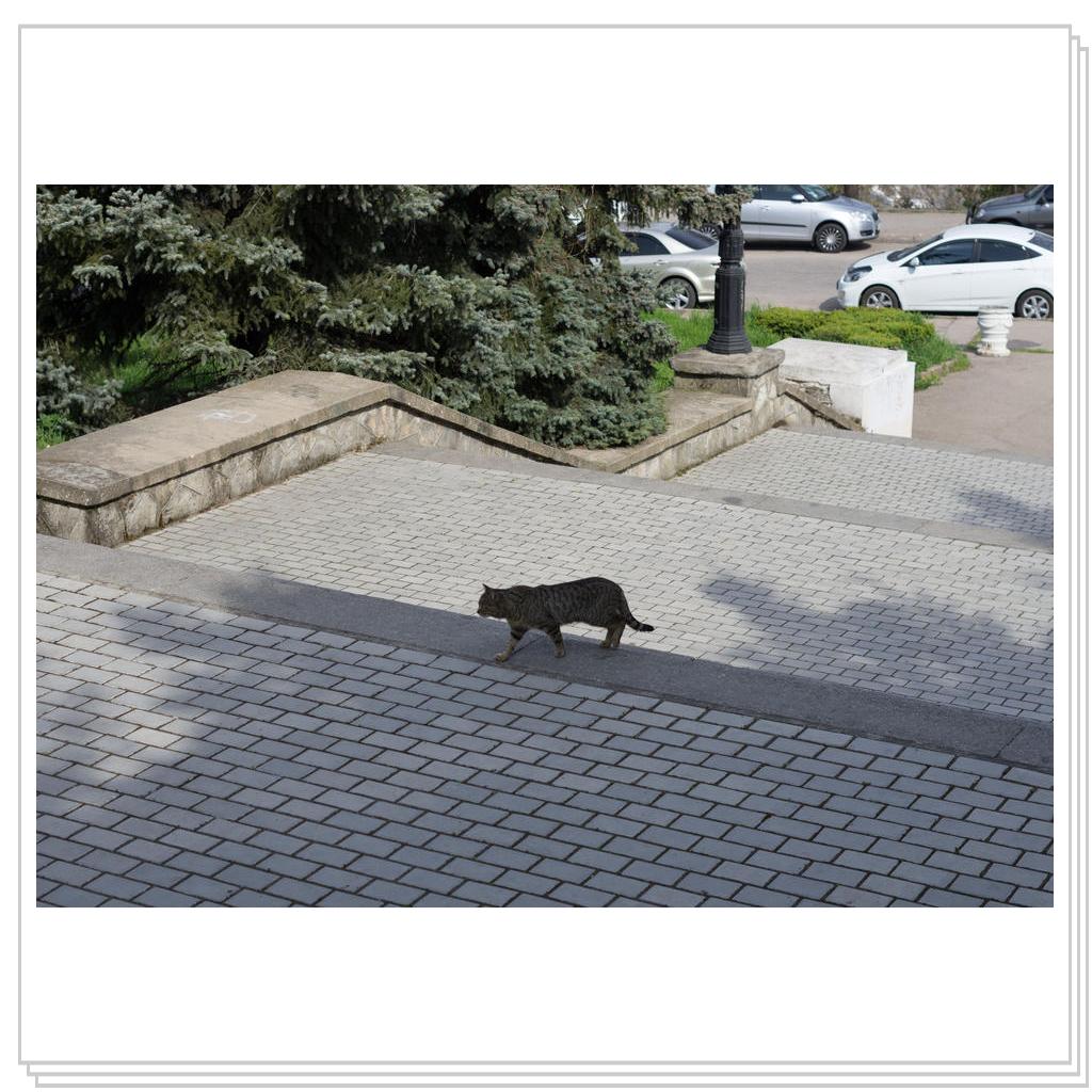 деловая колбаса. на Синопской лестнице.