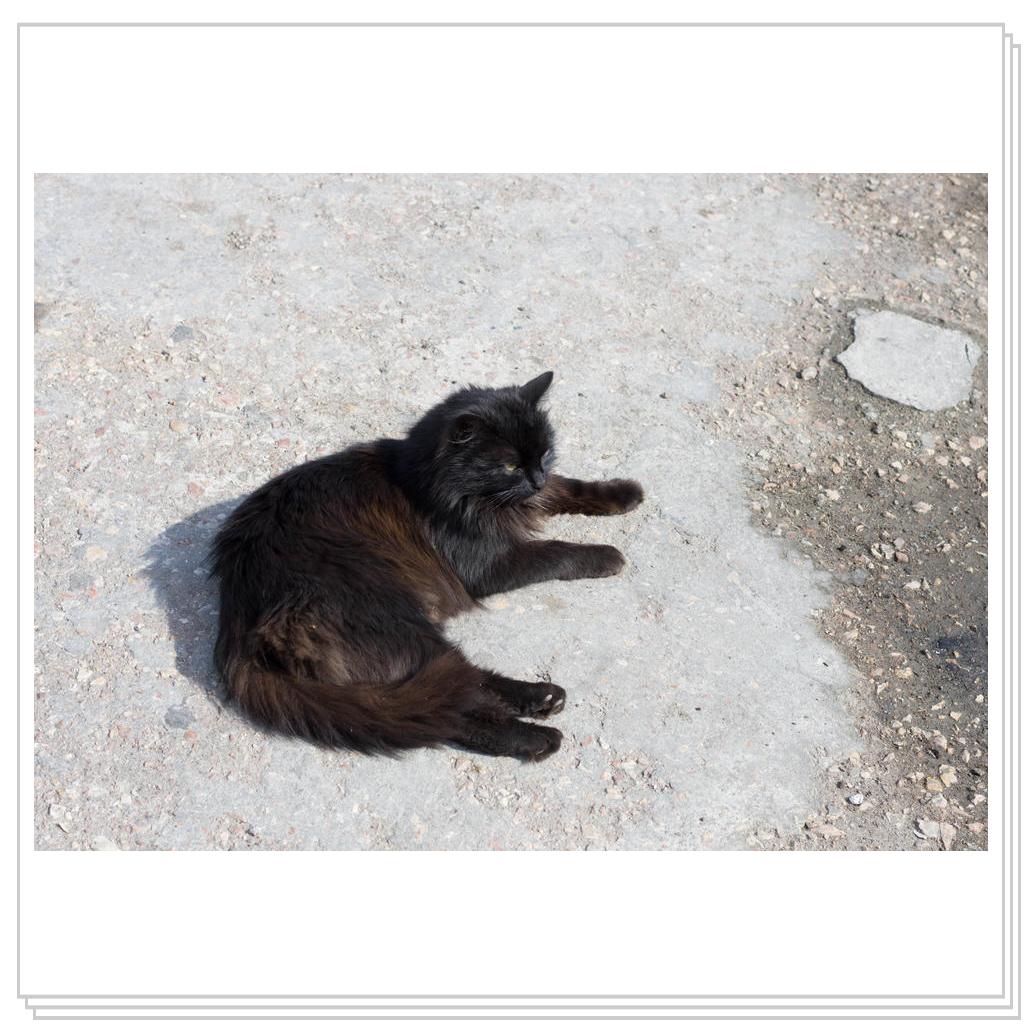 все тот же рыболов, только снятый ближе и другим фотоаппаратом