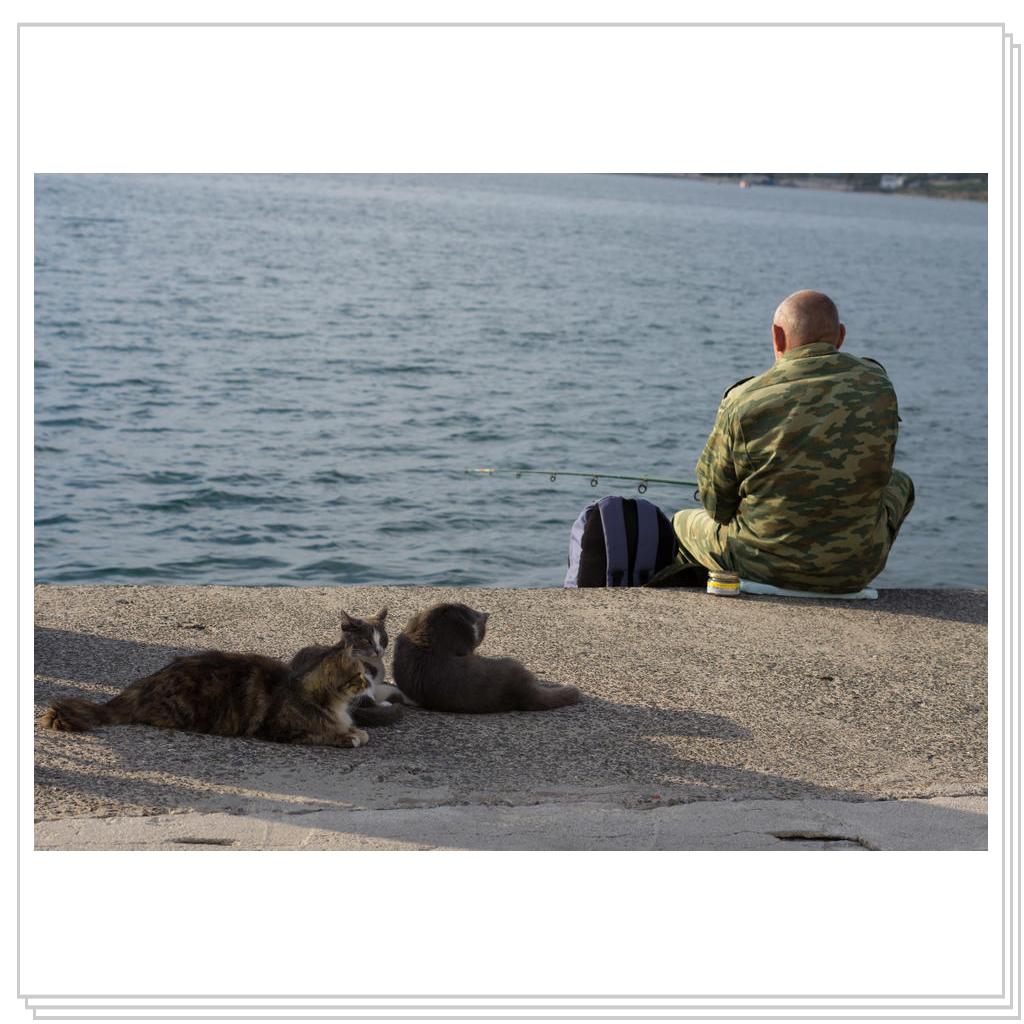 В ожидании....