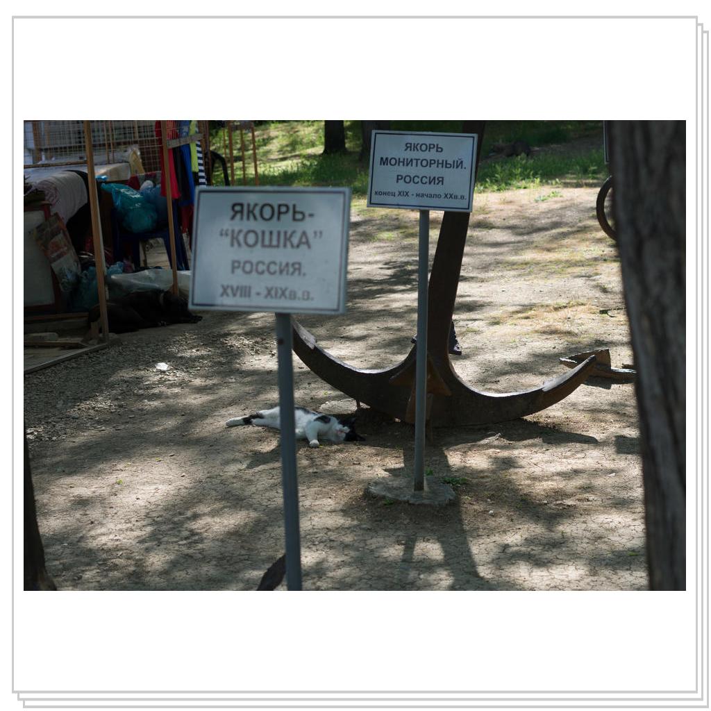 Якорь-кошка и живая кошка)))