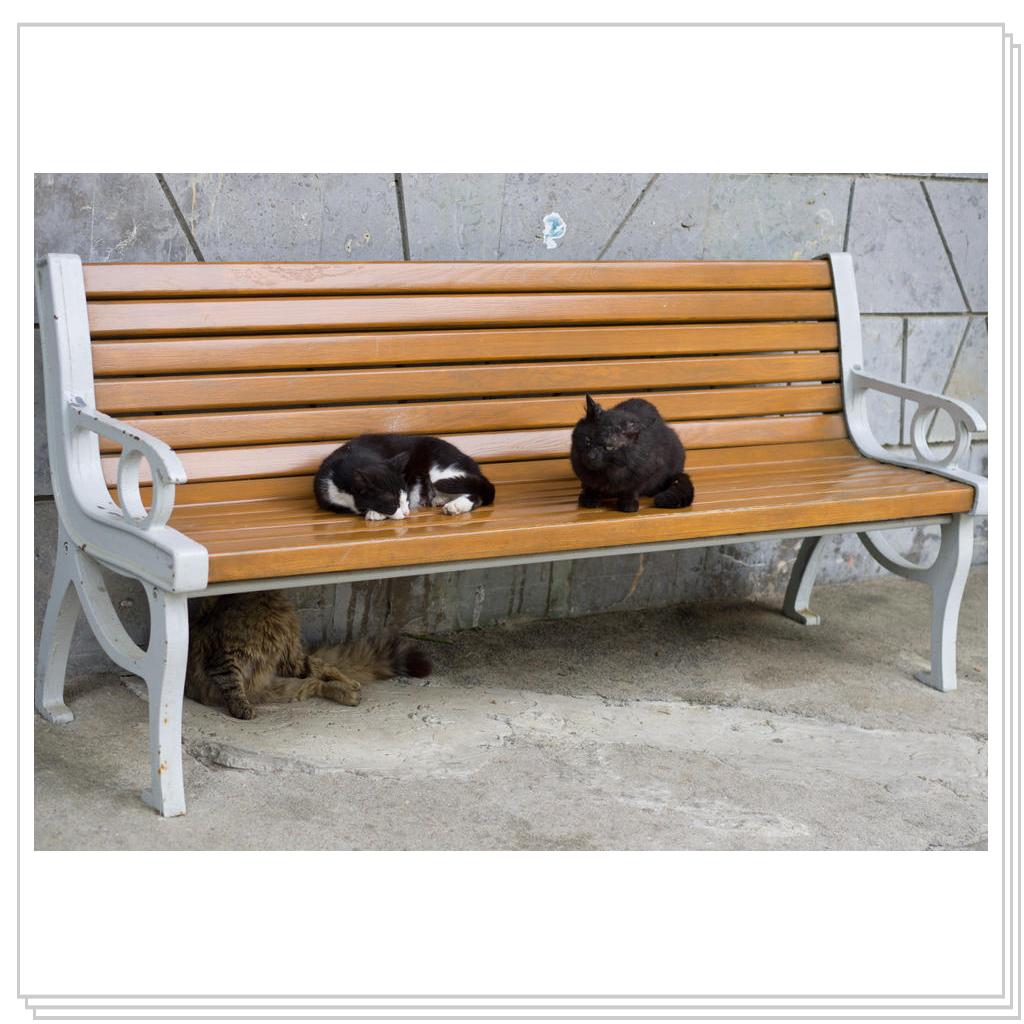 Парк Айвазовского