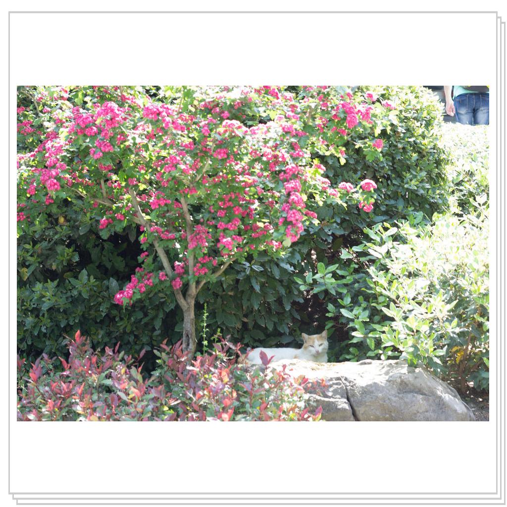 Парк Айвазовского