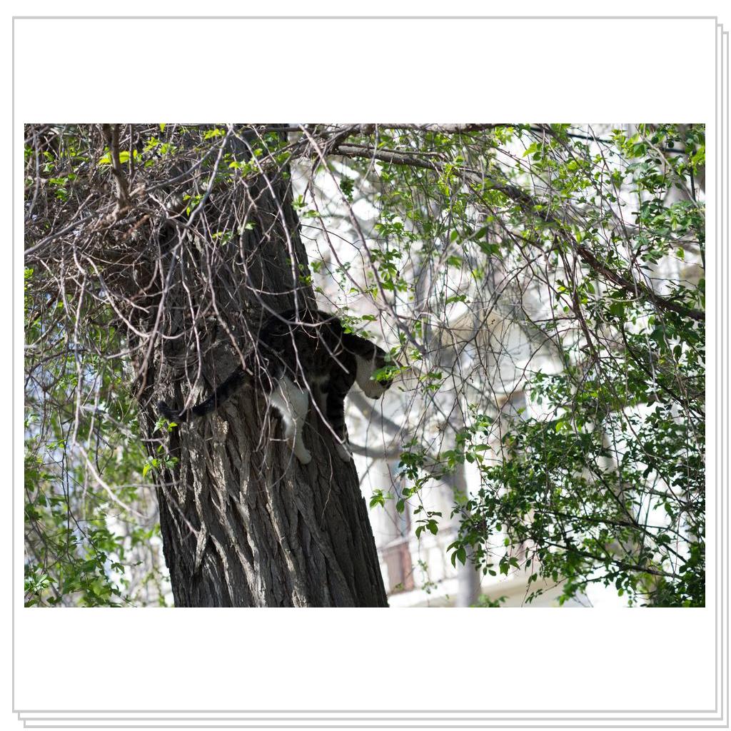 далеко сижу, далеко гляжу