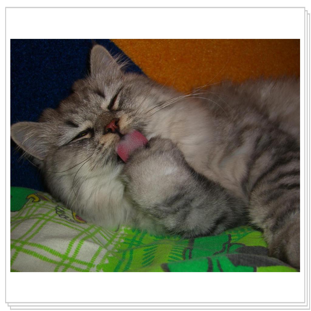 Чистота - залог здоровья