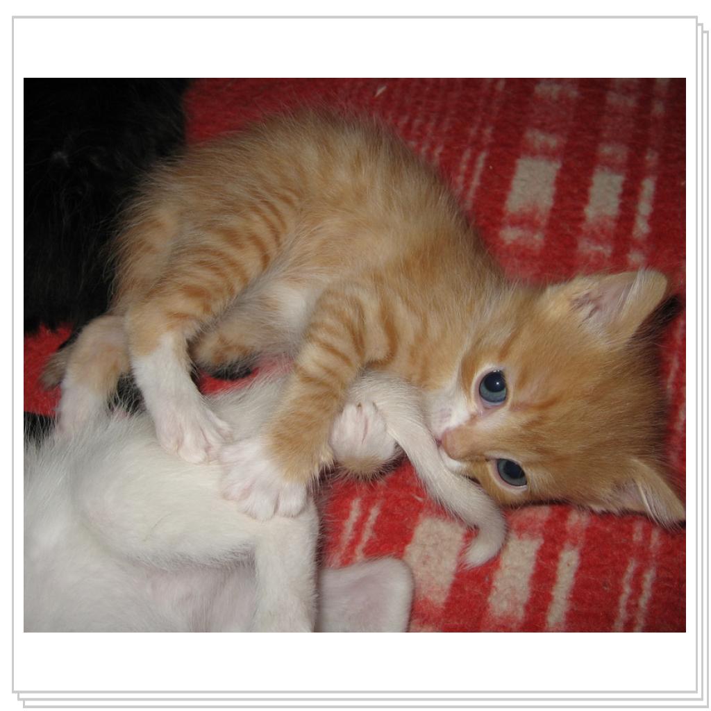 А вот что будет, если я его за хвост укушу?