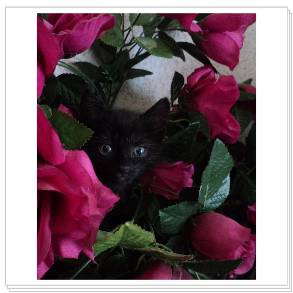 Играем в прятки