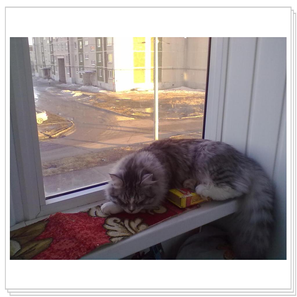 Парнишка в штанишках