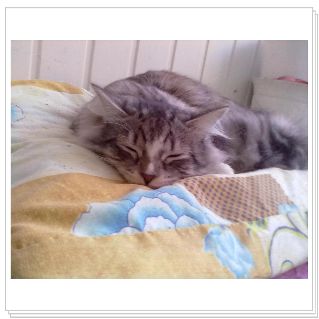 Парнишка в штанишках