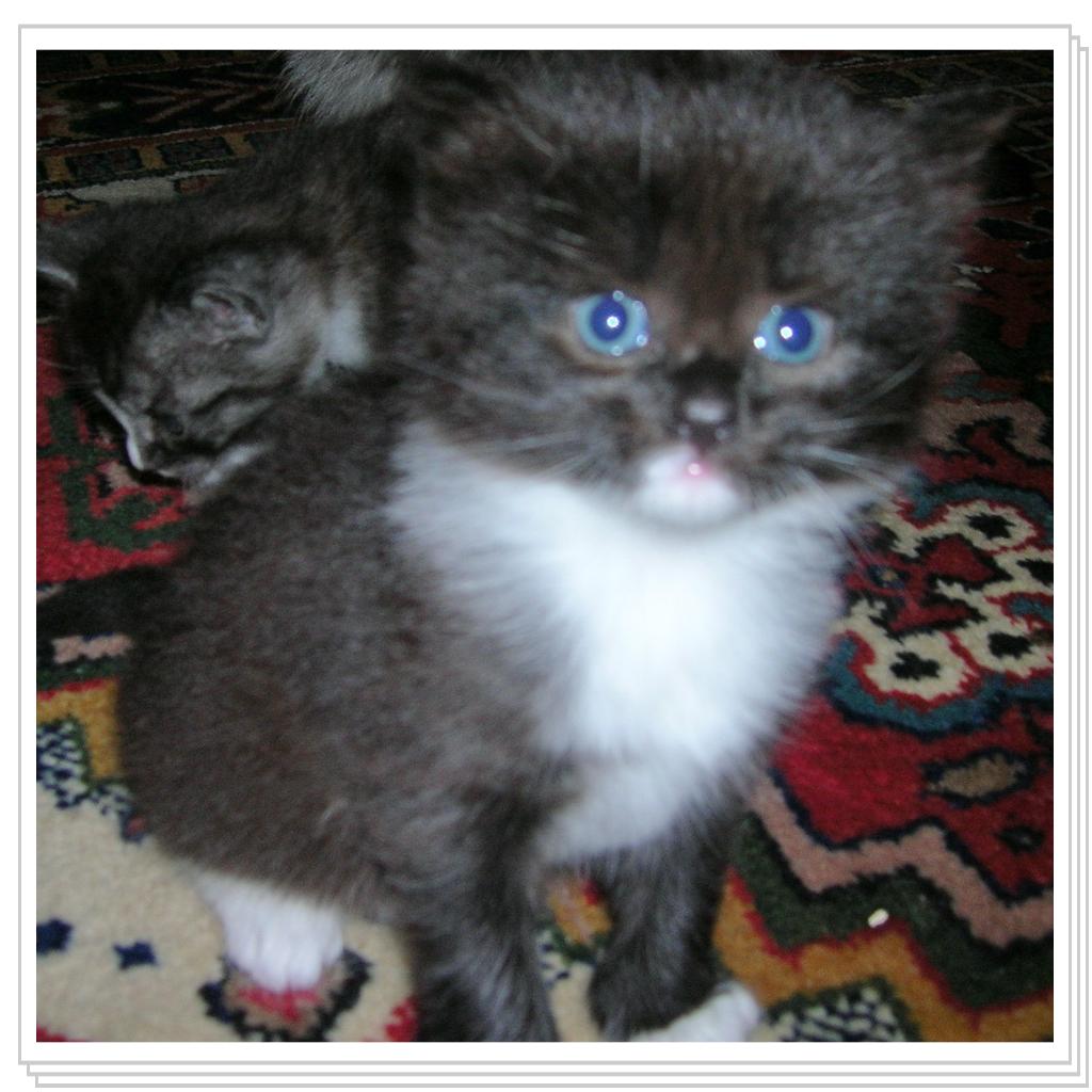 Русланчику чуть меньше  месяца