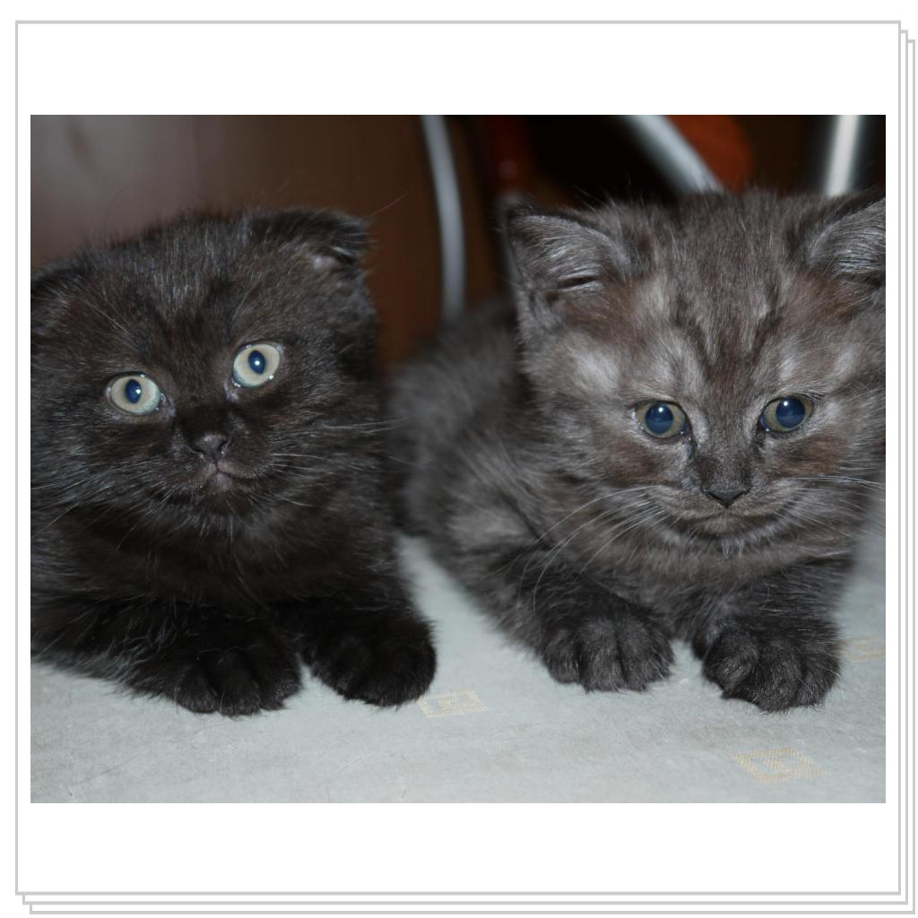 Первое потомство