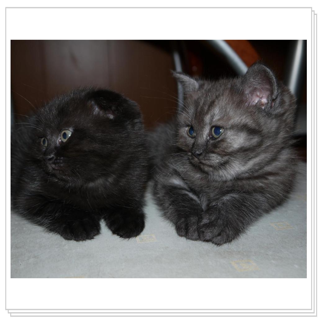 Равнение налево!!!