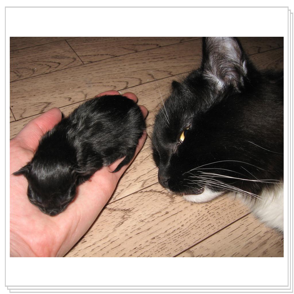 Папа и доча, только-только родилась...