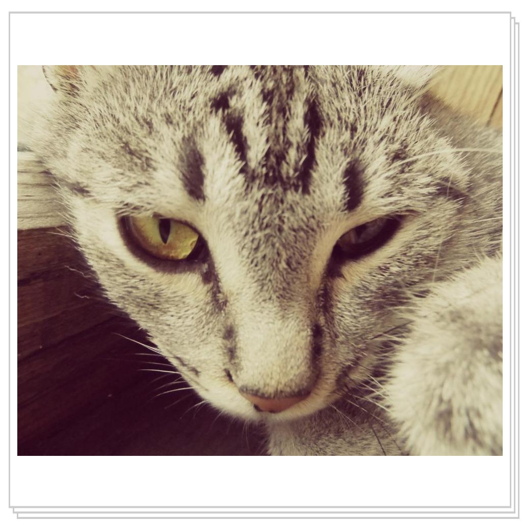 моя Соничка