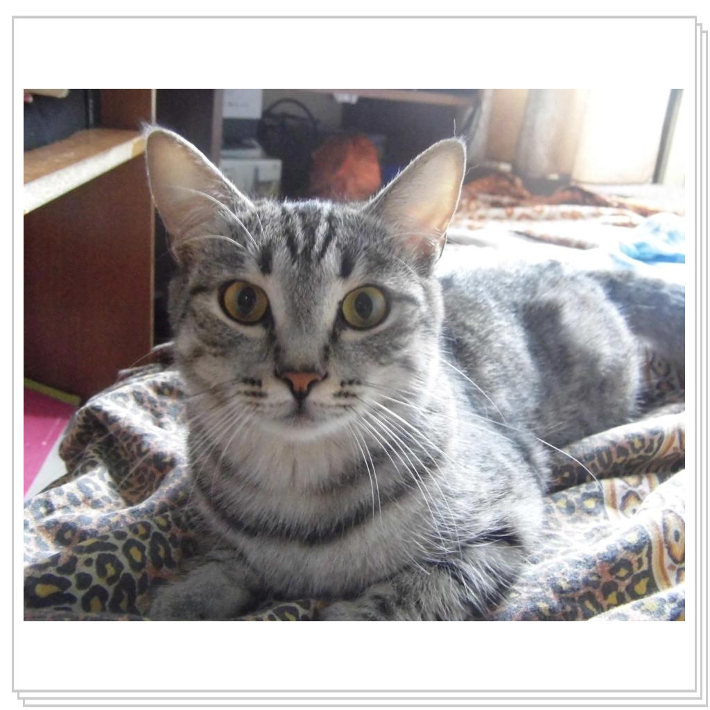 моя Соничка