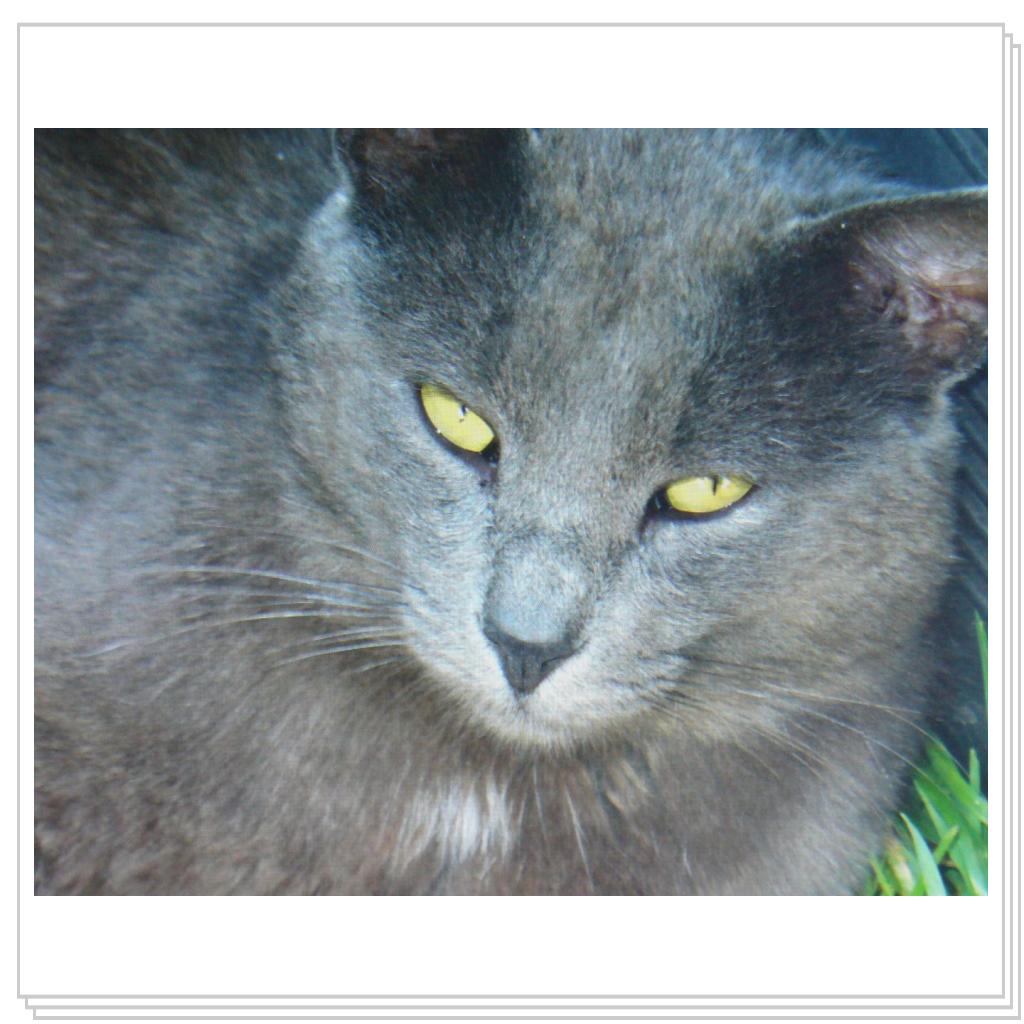 Памяти друга.