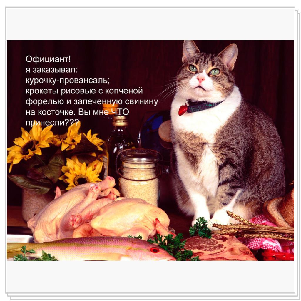 Кот в ресторане
