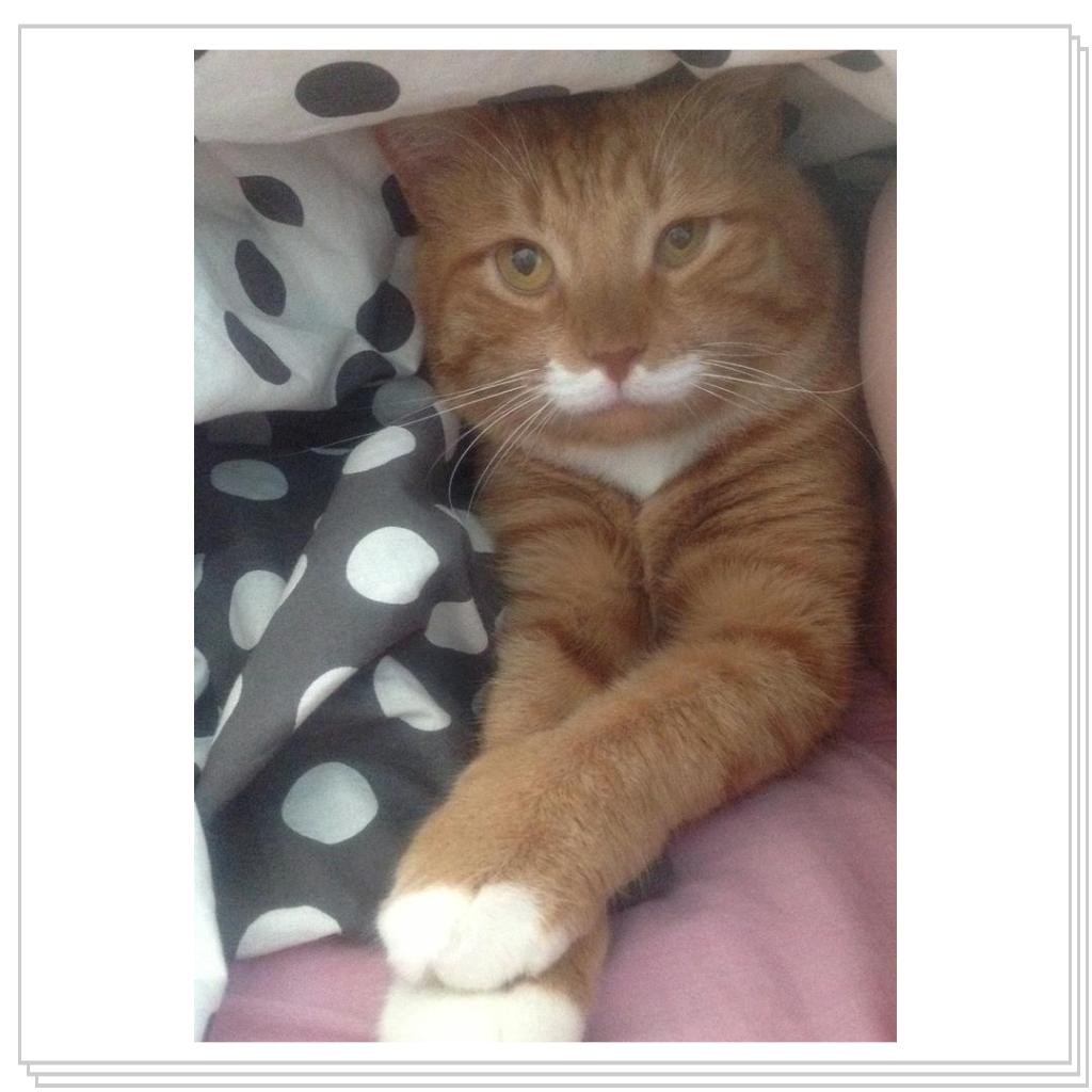 Мягко, спокойно и тепло...