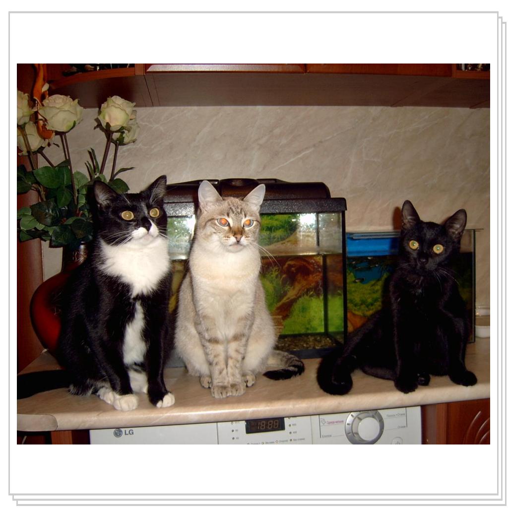 Джима,Дынча,Сева