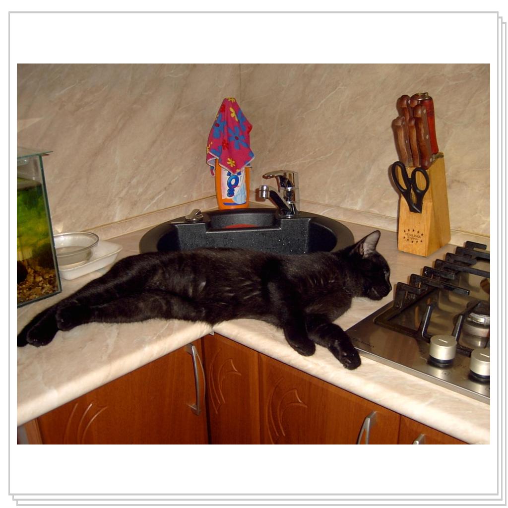 Сева устал....