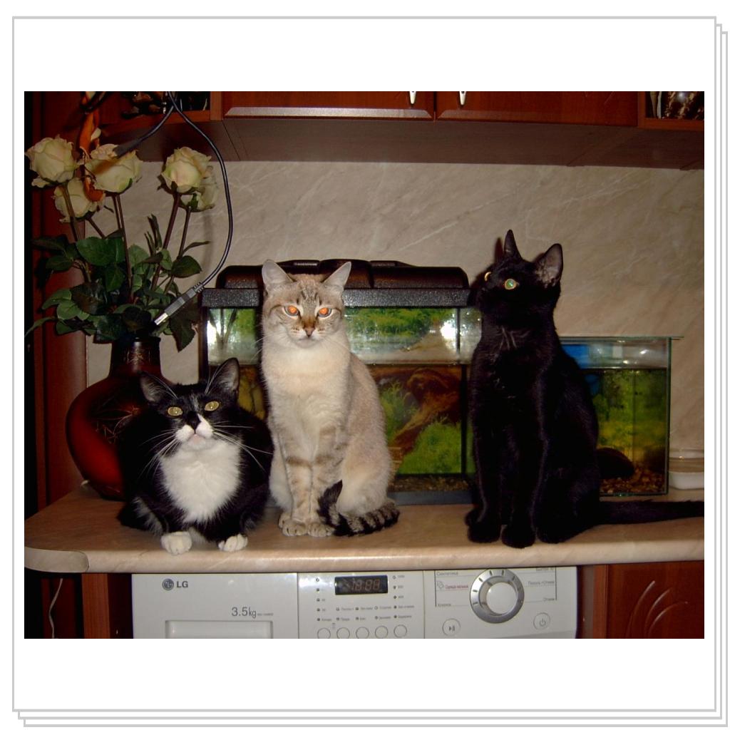 Джима (слева) Дынча и Сева