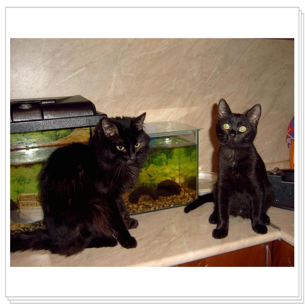 Сема и Сева ждут завтрак