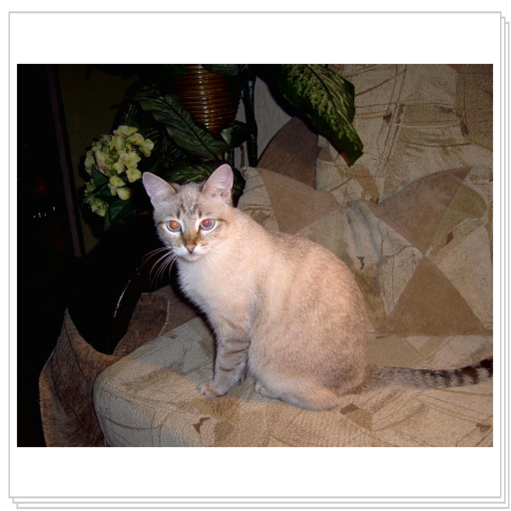 Теперь я здесь живу)))