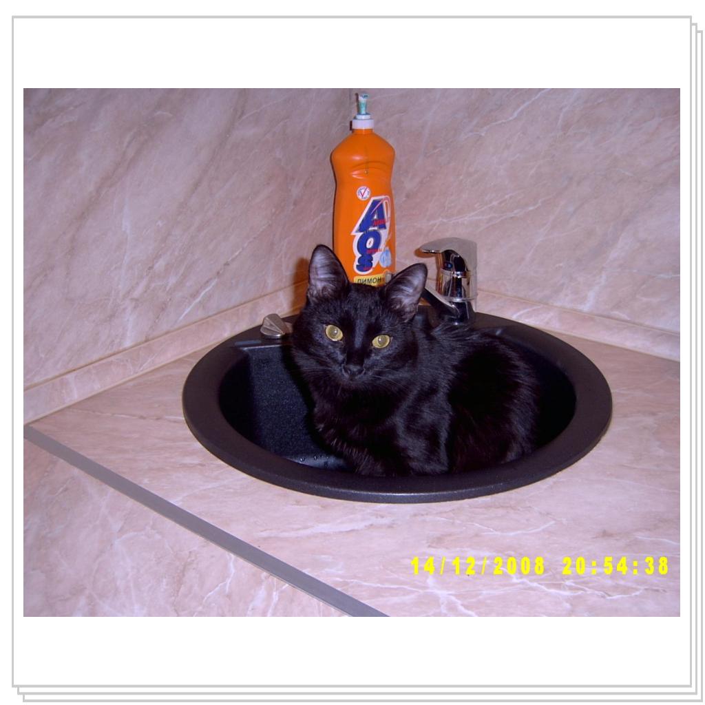 Вау! Вот это миска!!!