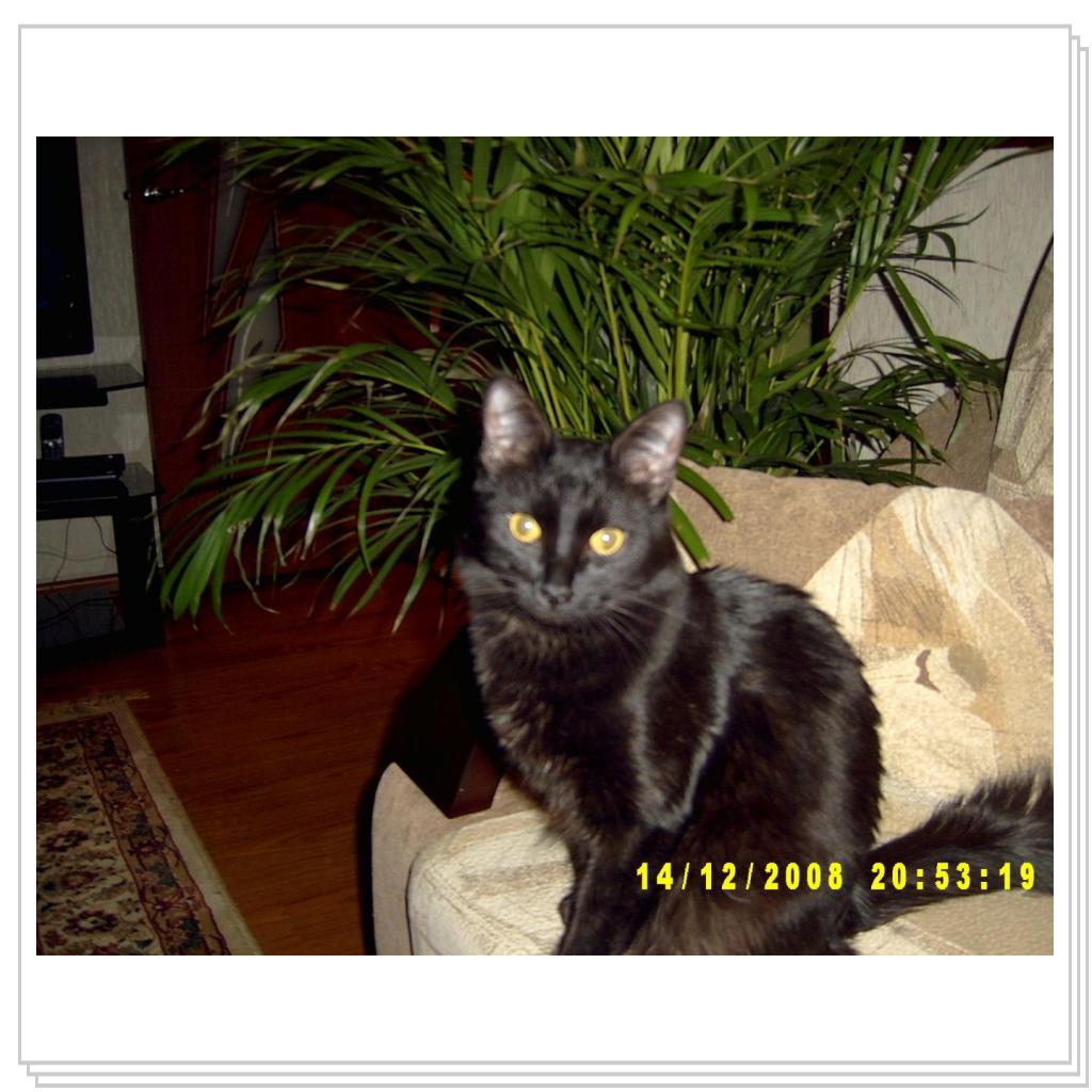 Я немного подрос