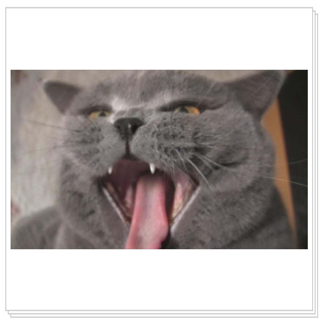 Вот какие зубы!