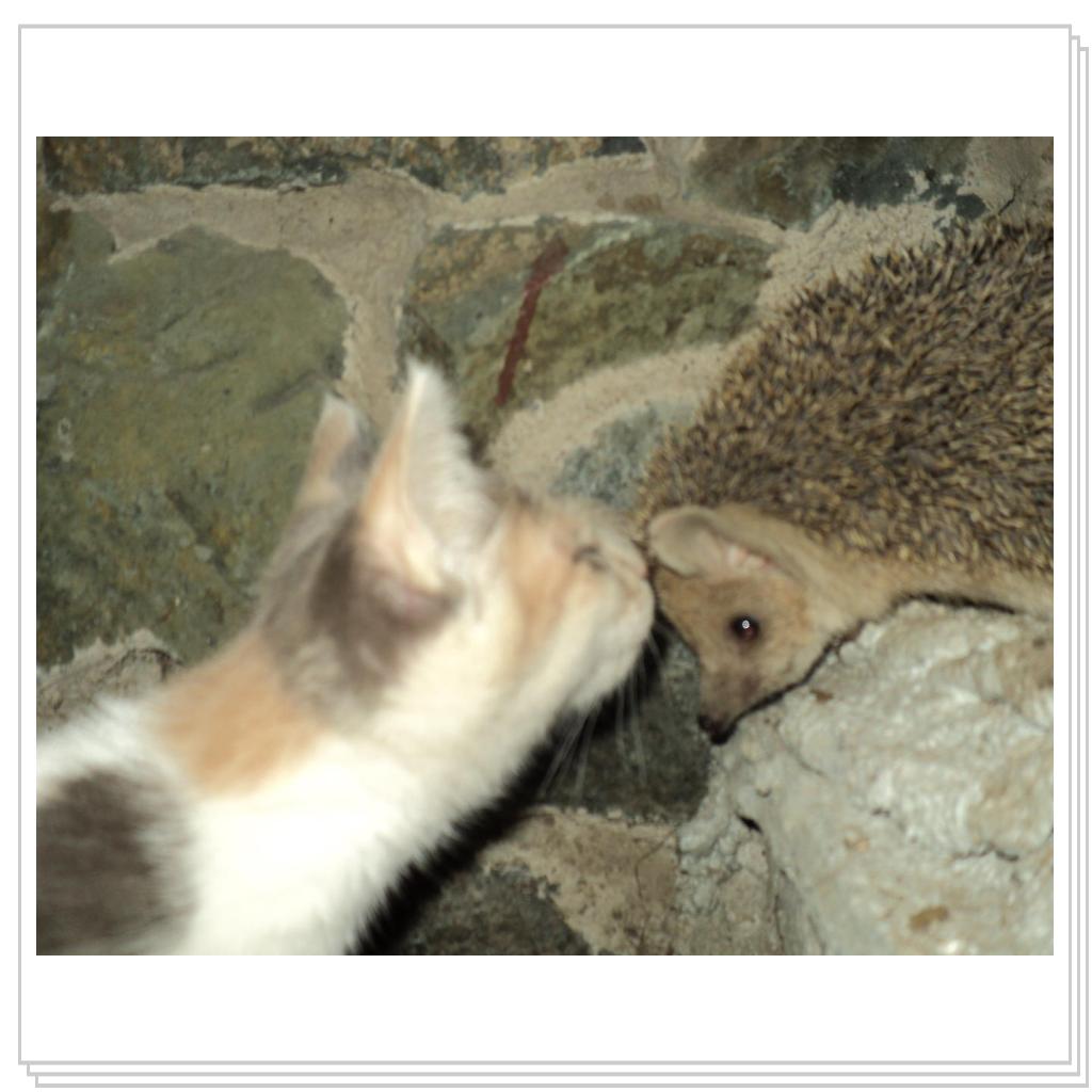 Знакомство