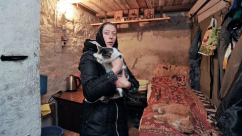 Монахиня спасла тысячи котов