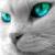 Profile picture for user Женщина Кошка