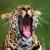 Profile picture for user pantera15.82