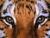 Profile picture for user Lida0212