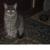 Profile picture for user леонид иванович