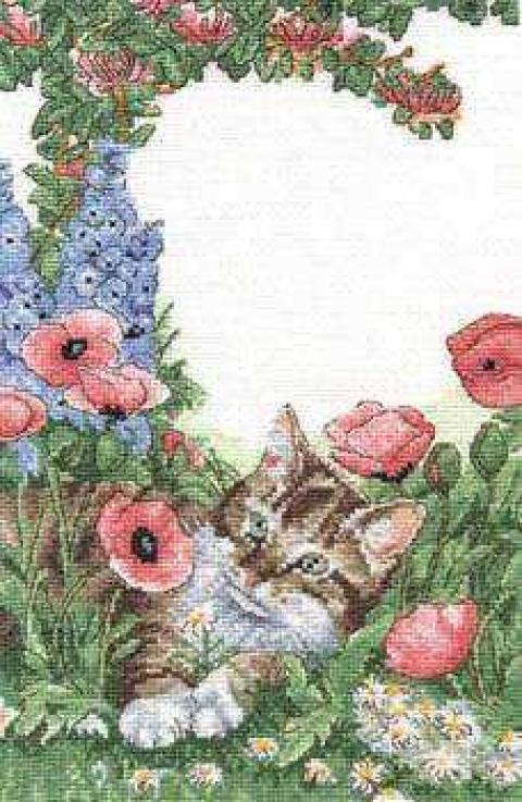 Кот в цветах