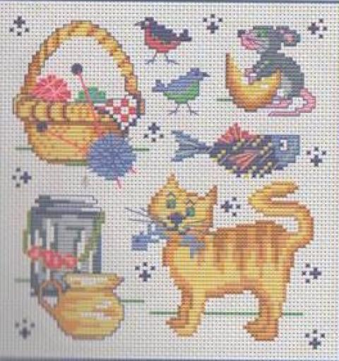 Кот с акссесуарами :)