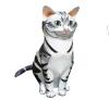 Американская короткошерстная объемная кошка из бумаги